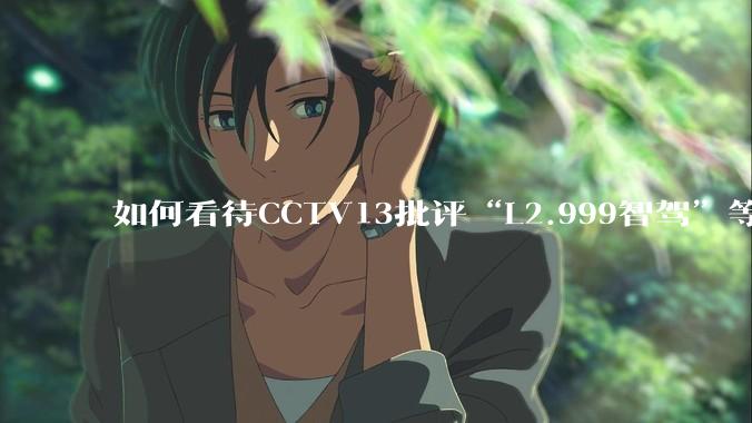 如何看待CCTV13批评“L2.999智驾”等误导性宣传，若导致事故车企可能需要担责？