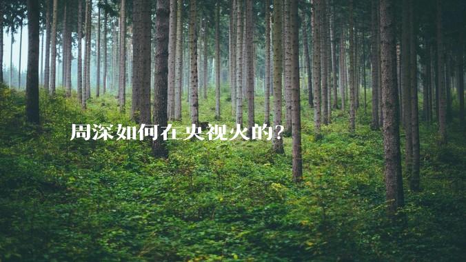 周深如何在央视火的？