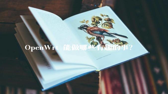 OpenWrt 能做哪些有趣的事？