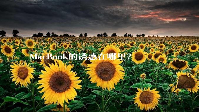 MacBook的诱惑在哪里？