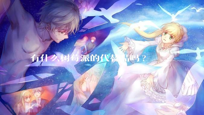有什么树莓派的代替品吗?